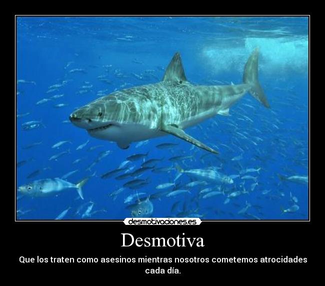 Desmotiva - Que los traten como asesinos mientras nosotros cometemos atrocidades cada día.