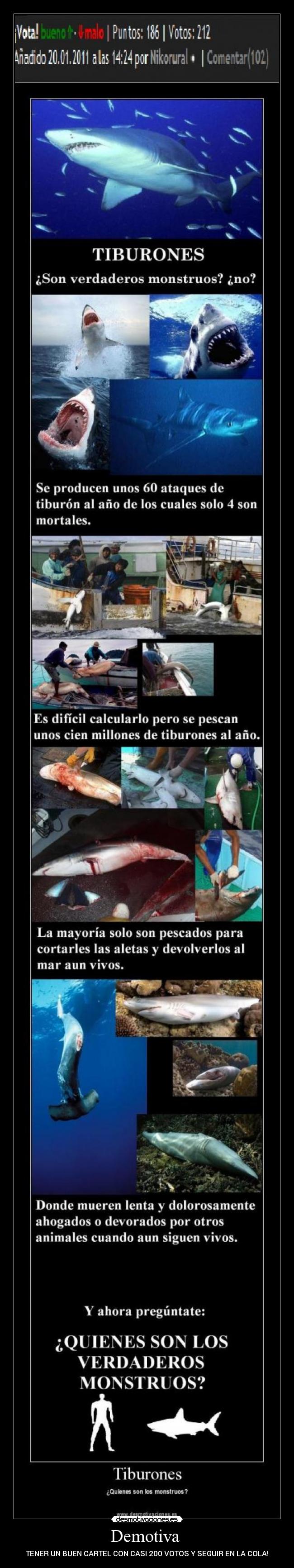 Demotiva - TENER UN BUEN CARTEL CON CASI 200 VOTOS Y SEGUIR EN LA COLA!