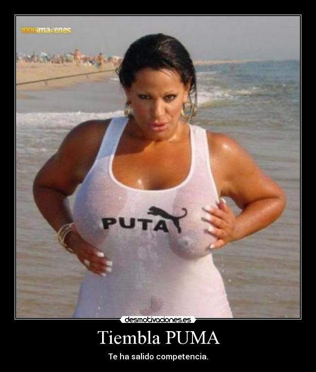 Tiembla PUMA -