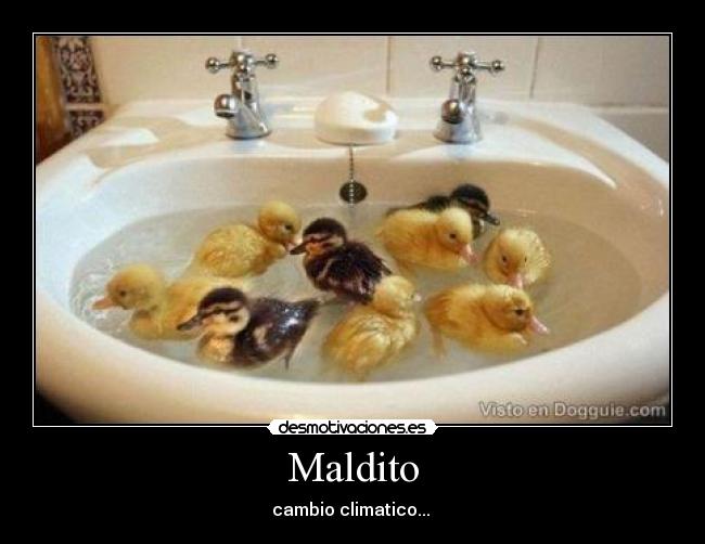 Maldito - 