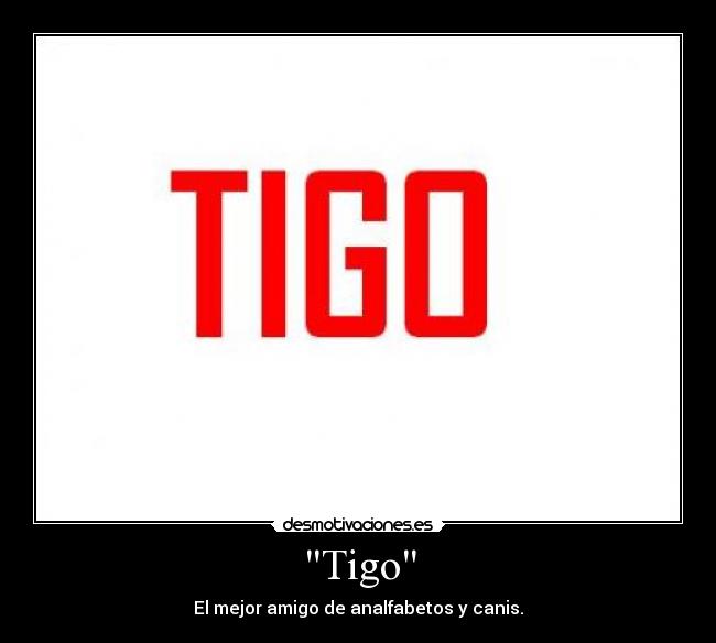 Tigo -