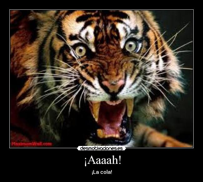 ¡Aaaah! - ¡La cola!