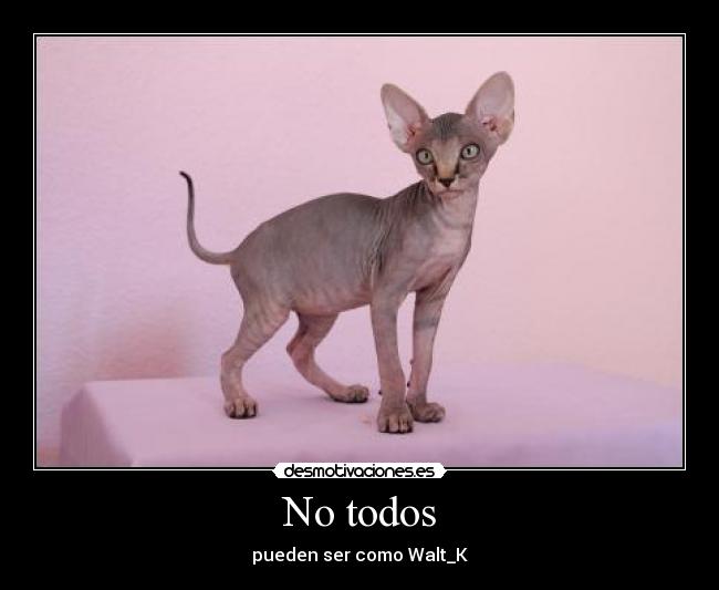 No todos - pueden ser como Walt_K