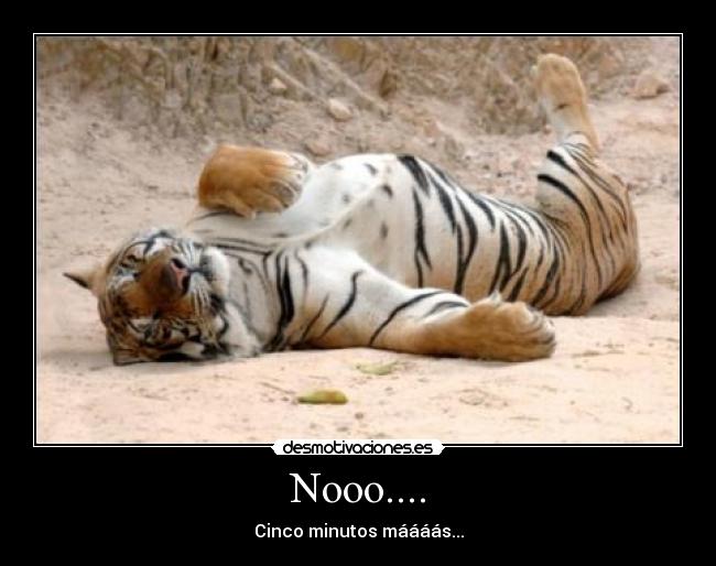 carteles cinco minutos mas desmotivaciones