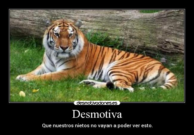 Desmotiva - 