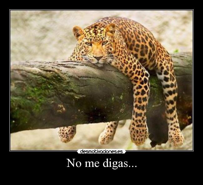 No me digas... -