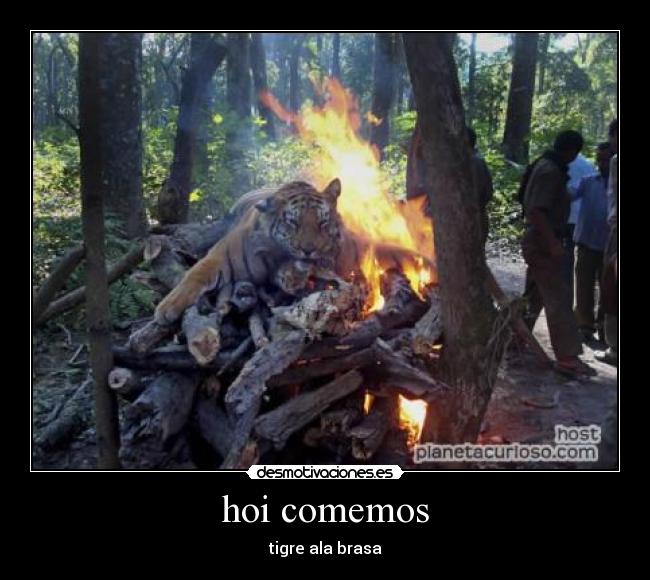 carteles ledej desmotivaciones