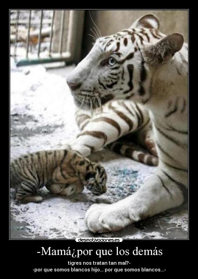 -Mamá¿por que los demás -