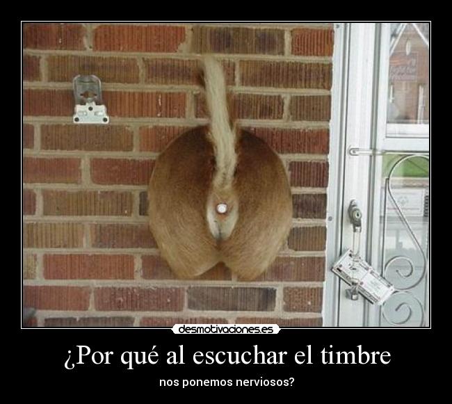 ¿Por qué al escuchar el timbre - nos ponemos nerviosos?