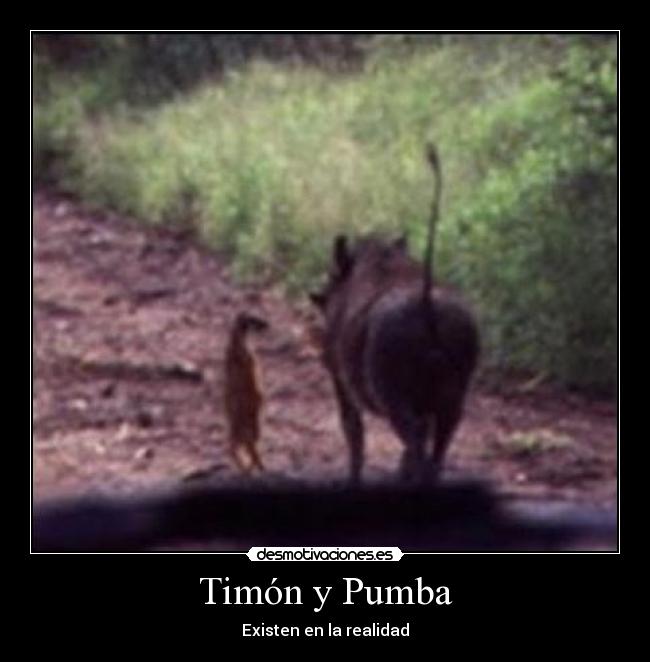 Timón y Pumba -