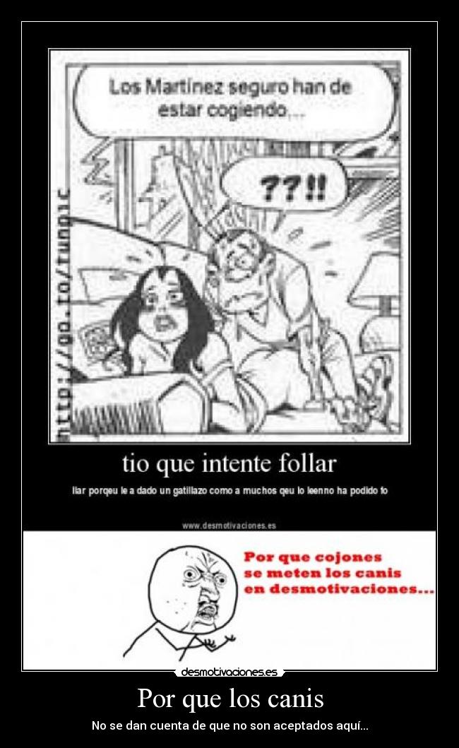 Por que los canis - No se dan cuenta de que no son aceptados aquí...