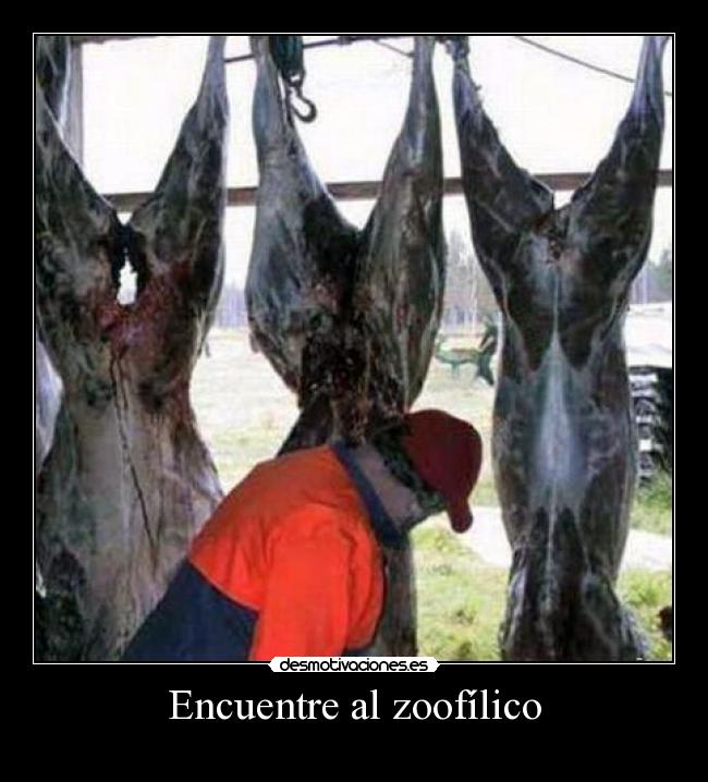 Encuentre al zoofílico - 