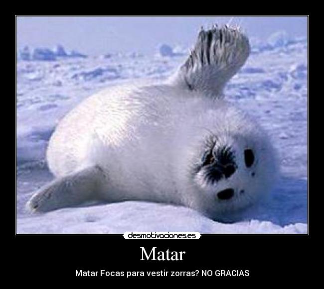 Matar - 