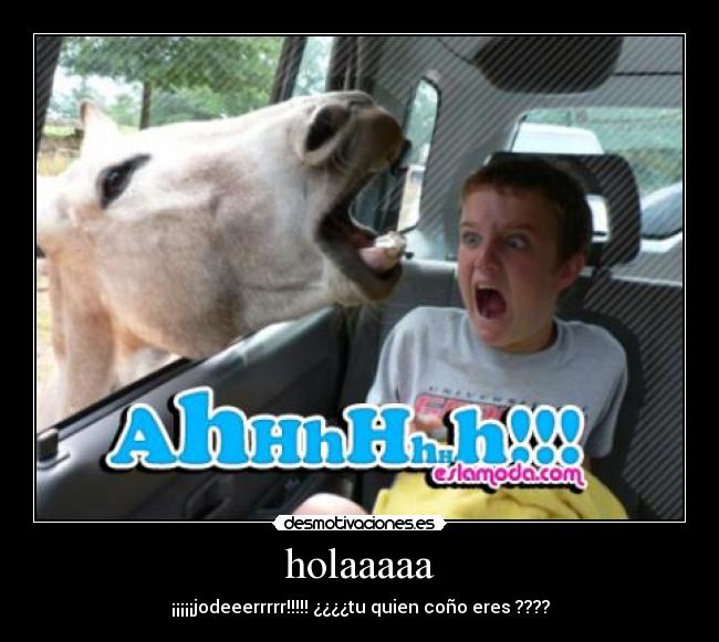 holaaaaa -