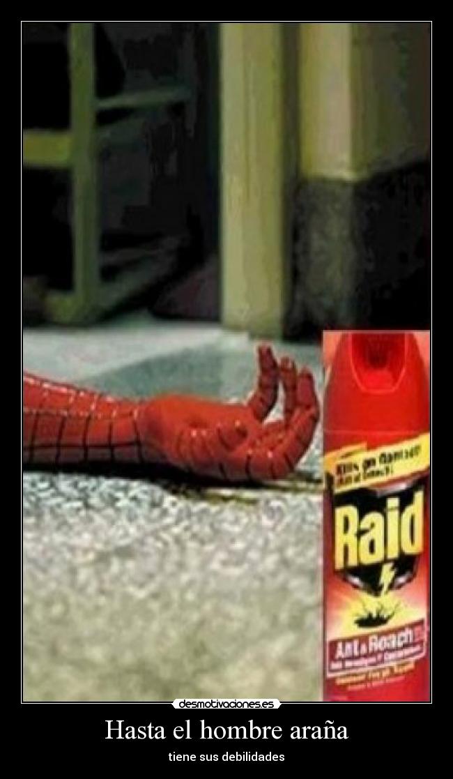 Hasta el hombre araña - tiene sus debilidades