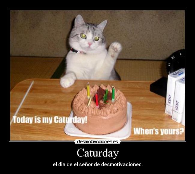 Caturday -