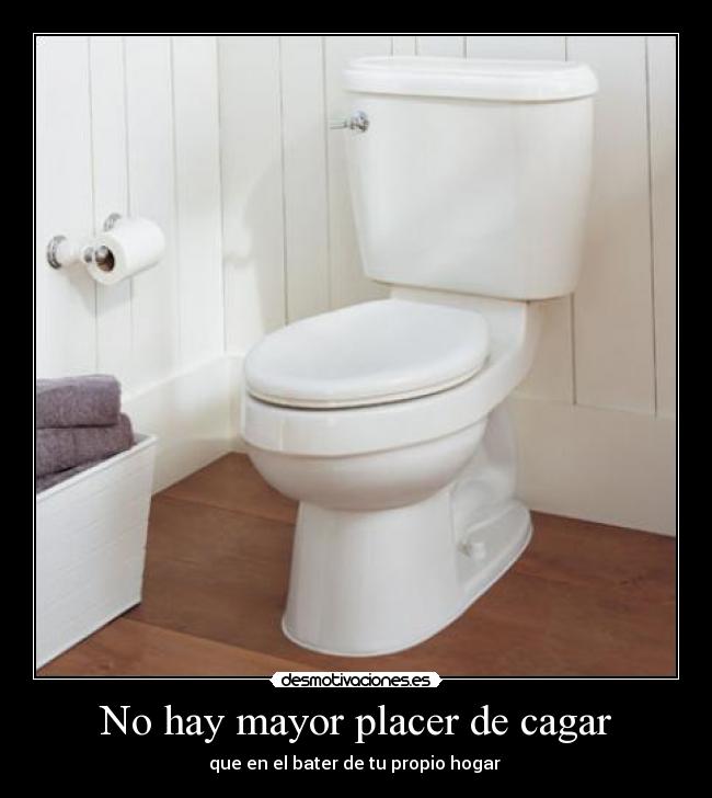 No hay mayor placer de cagar - 