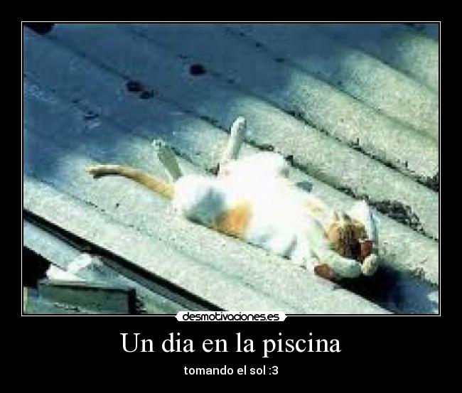 Un dia en la piscina - tomando el sol :3