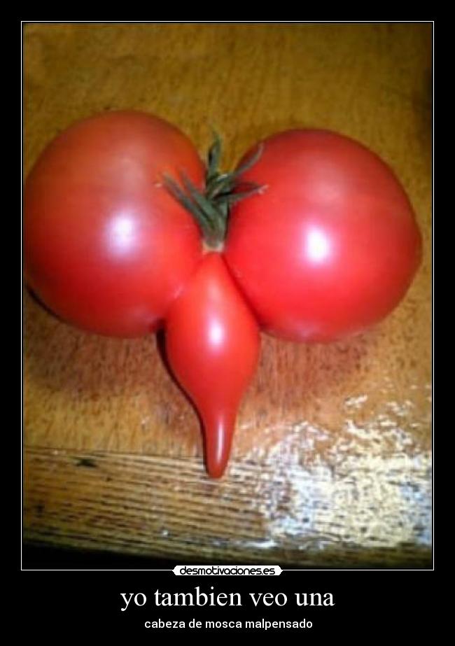 yo tambien veo una -