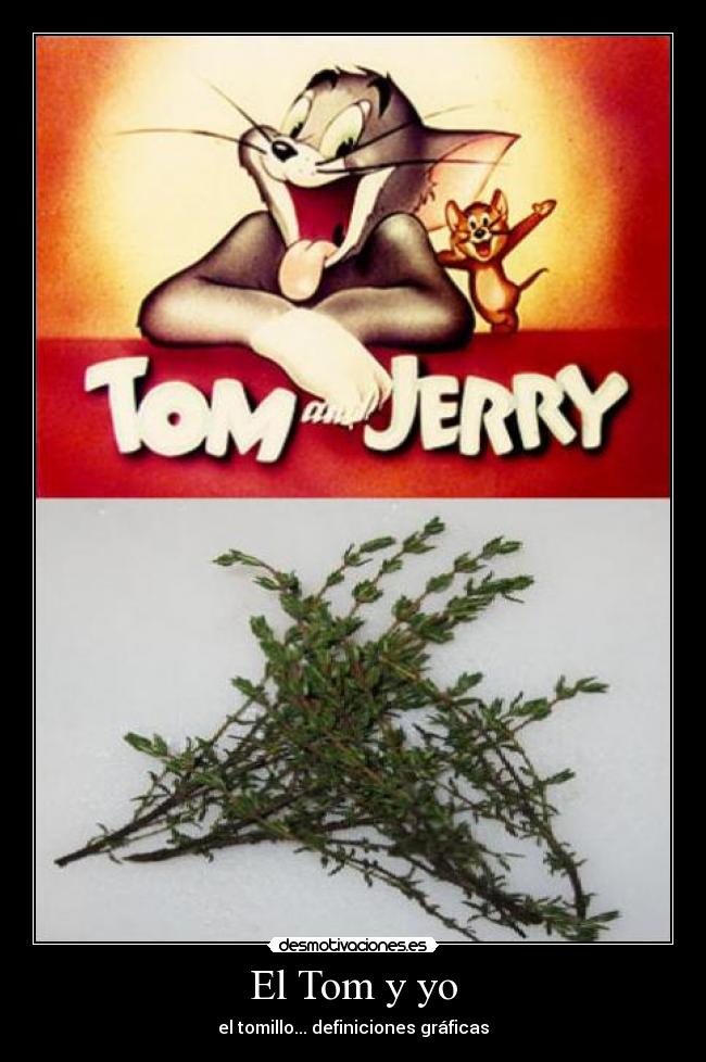 El Tom y yo - 