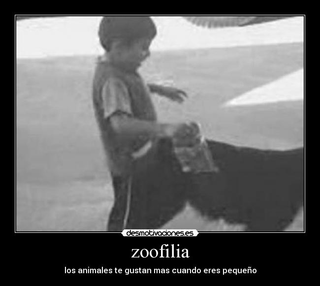 carteles graciosas desmotivaciones