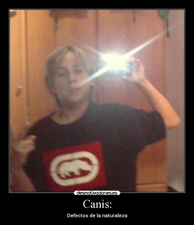 Canis: - Defectos de la naturaleza