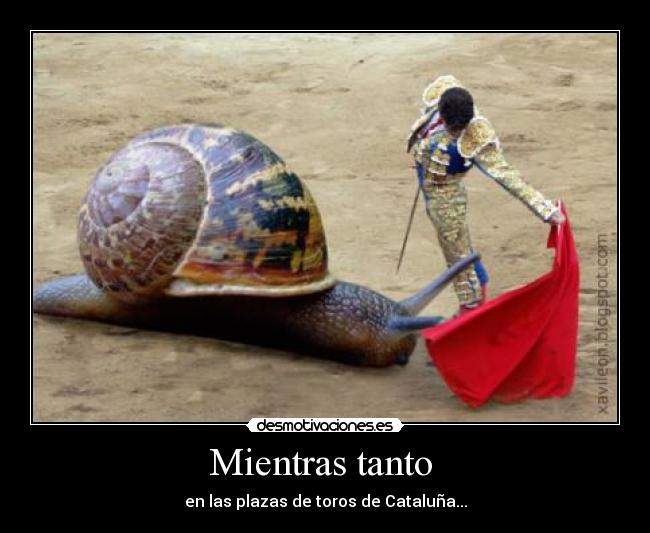 Mientras tanto  - en las plazas de toros de Cataluña...