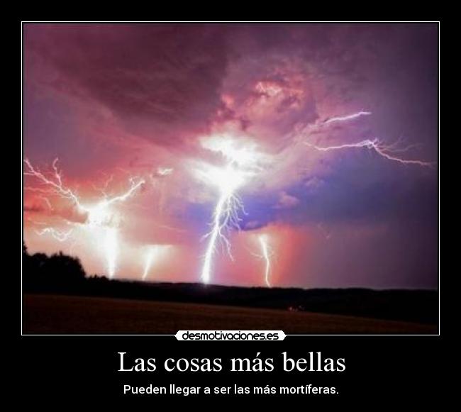 Las cosas más bellas - Pueden llegar a ser las más mortíferas.