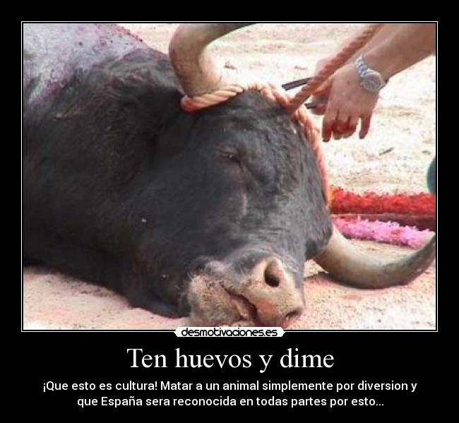 Ten huevos y dime - ¡Que esto es cultura! Matar a un animal simplemente por diversion y
que España sera reconocida en todas partes por esto...