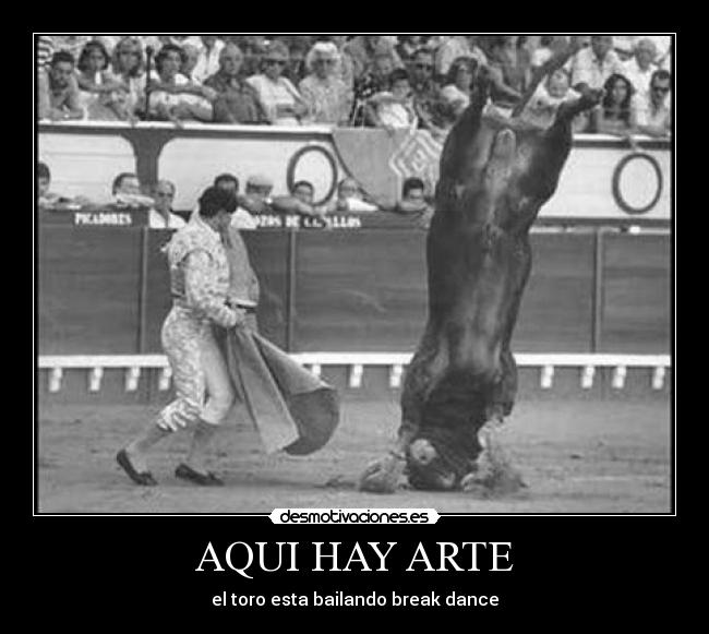 AQUI HAY ARTE - el toro esta bailando break dance