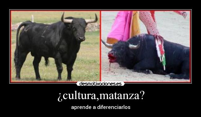 ¿cultura,matanza? - 
