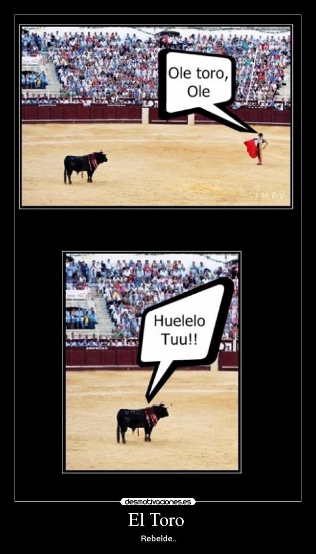El Toro -