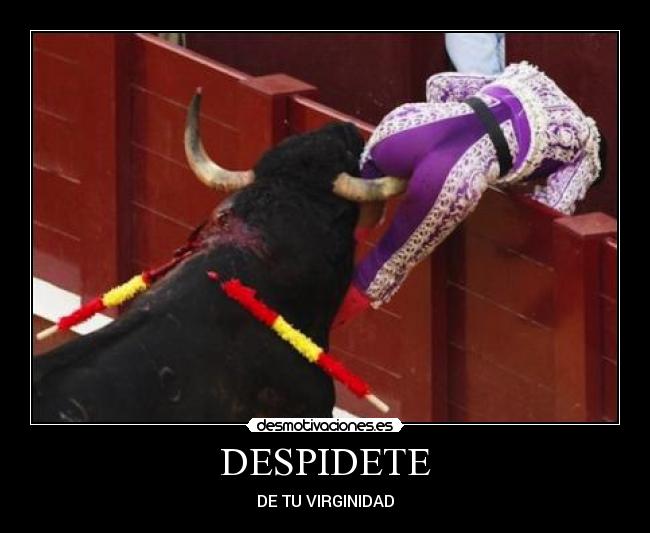 DESPIDETE -