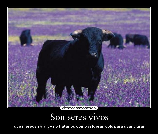 Son seres vivos - 