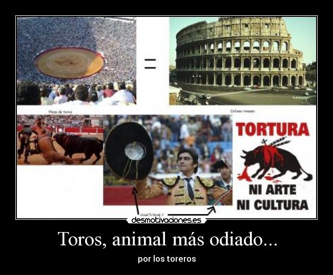 Toros, animal más odiado... - por los toreros