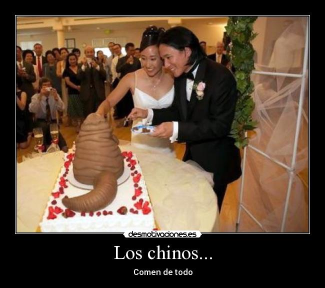 Los chinos... - Comen de todo