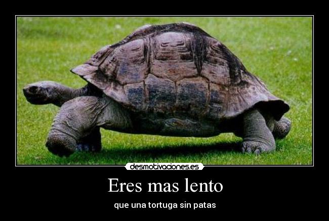 Eres mas lento -