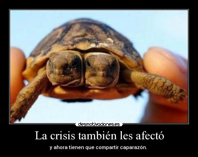 La crisis también les afectó - 