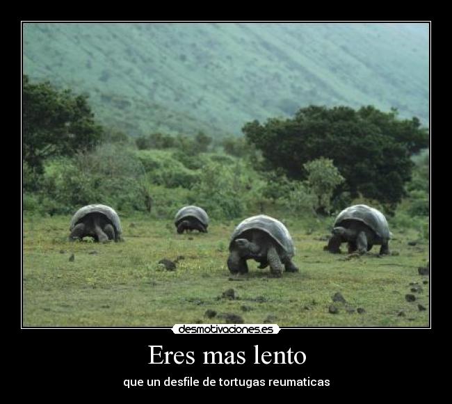 Eres mas lento - que un desfile de tortugas reumaticas