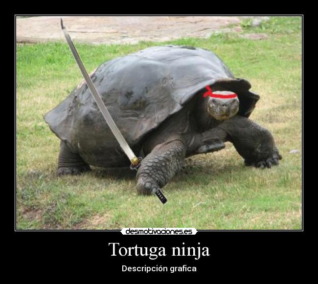 Tortuga ninja -