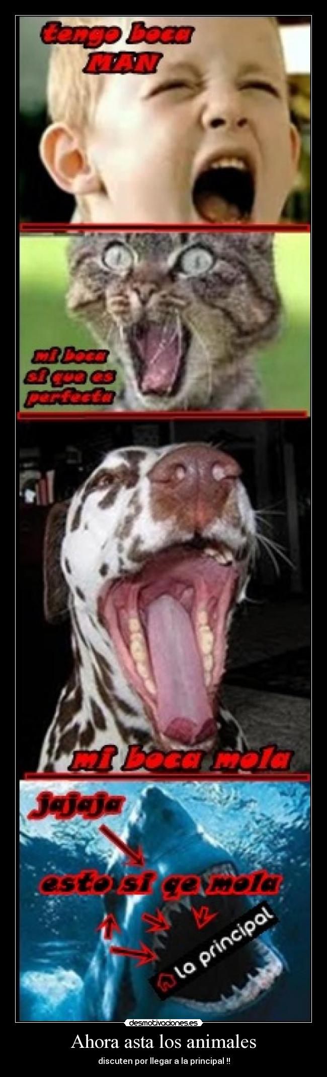 Ahora asta los animales -