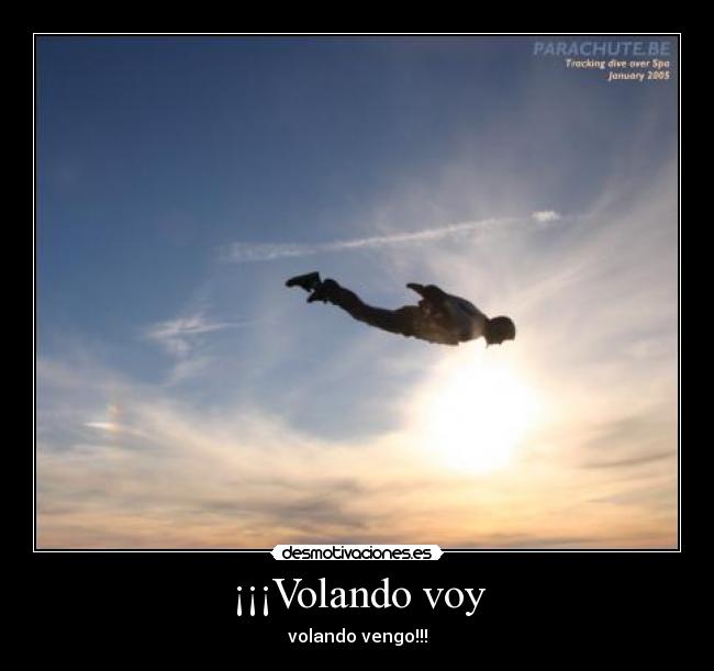 carteles volar camaron musica desmotivaciones desmotivaciones