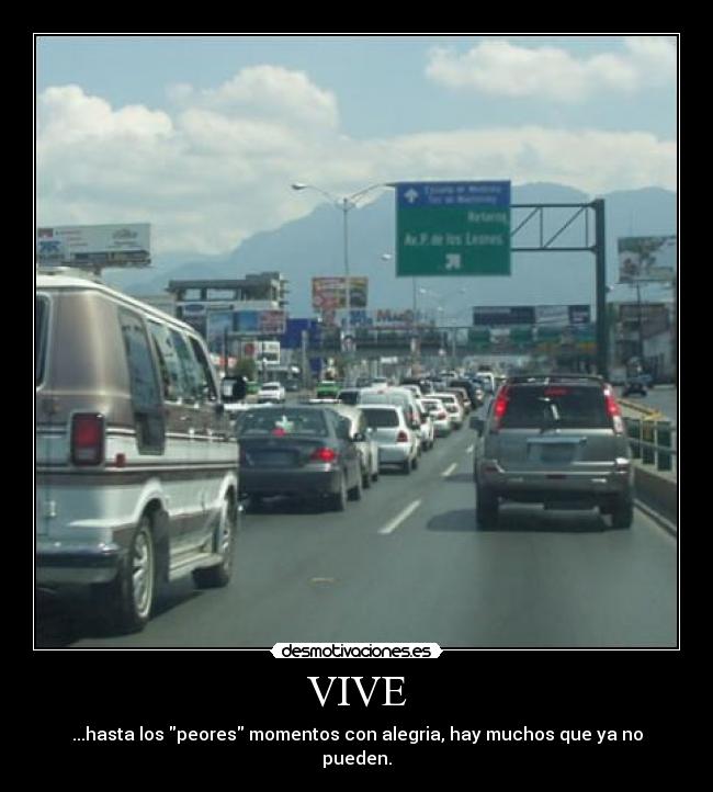 VIVE -