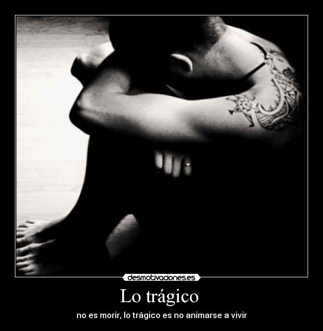 carteles verdad desmotivaciones