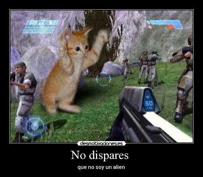 No dispares -