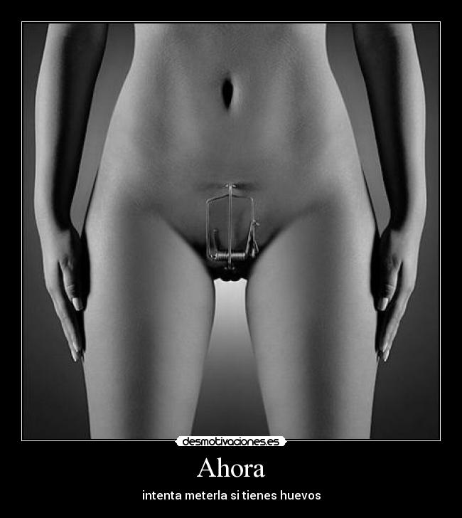 Ahora - intenta meterla si tienes huevos