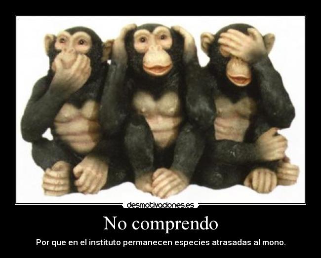 No comprendo - Por que en el instituto permanecen especies atrasadas al mono.