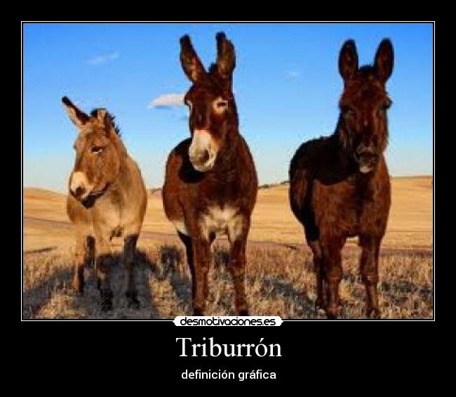 Triburrón -