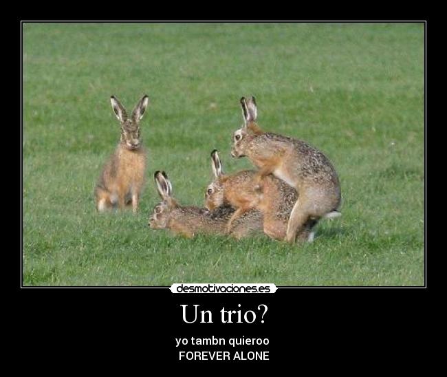 Un trio? - yo tambn quieroo 
FOREVER ALONE