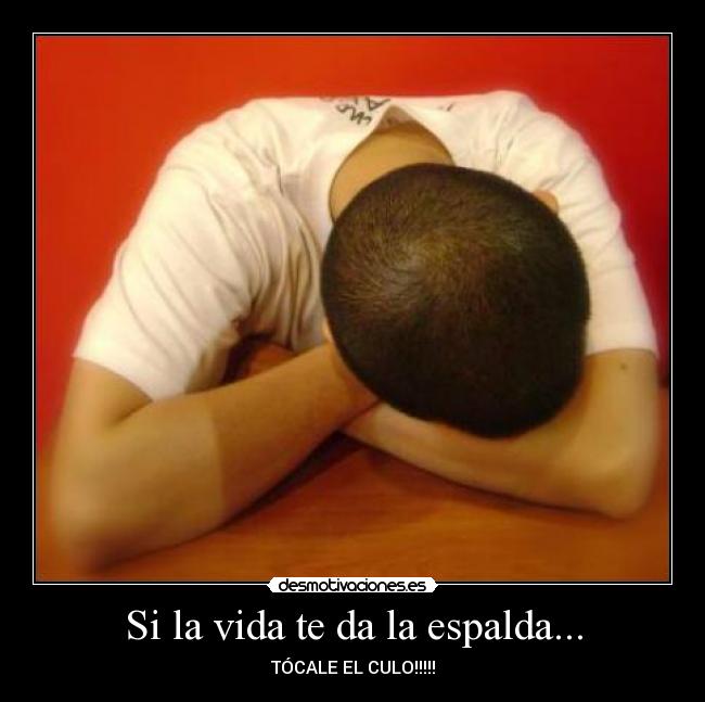 carteles vida culo desmotivaciones